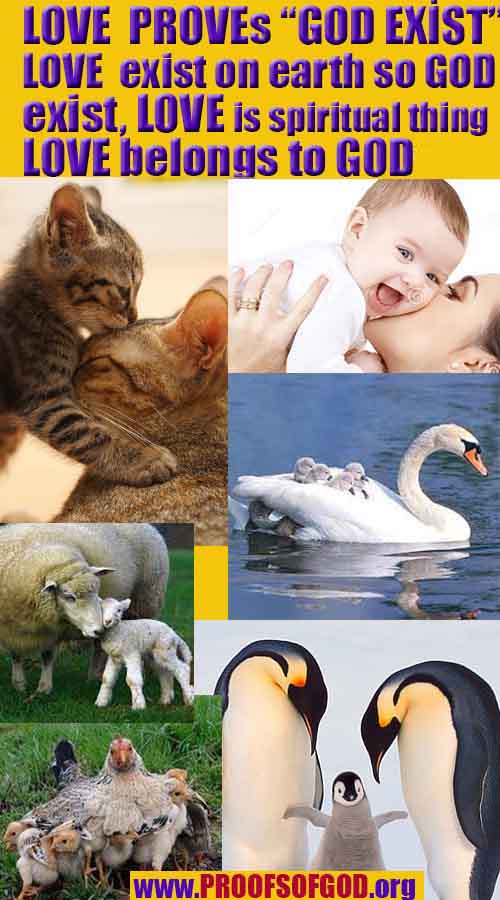 evidences of God, proofs of God, proof of God, signs of God, God is real proofs, God exists proofs, god's signs