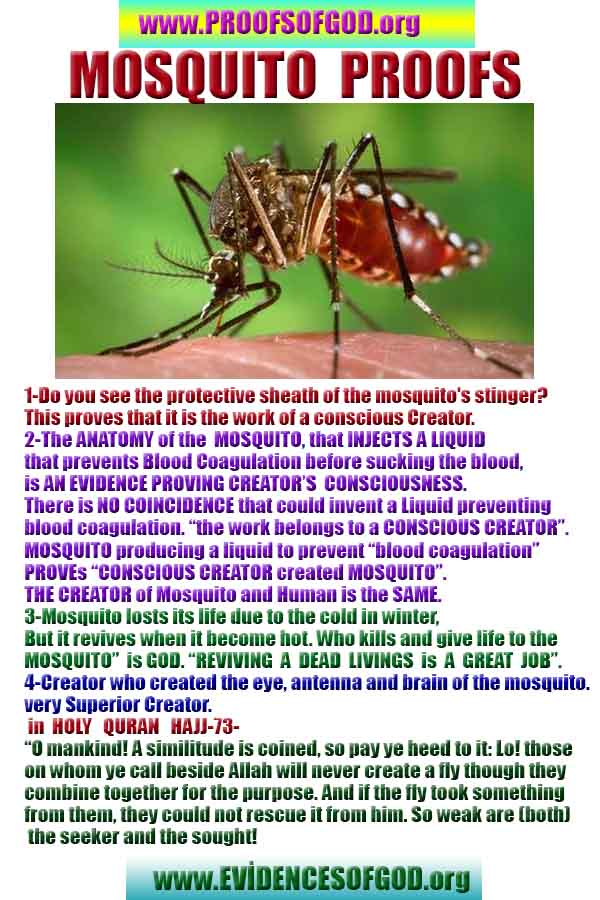 evidences of God, proofs of God, proof of God, signs of God, God is real proofs, God exists proofs, god's evidences