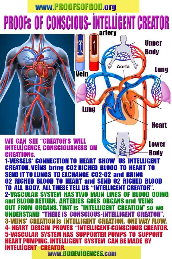 evidences of God, proofs of God, proof of God, signs of God, God is real proofs, God exists proofs, god's proofs