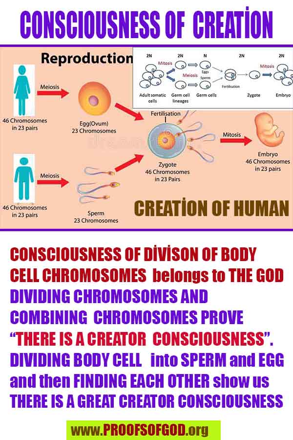 evidences of God, proofs of God, proof of God, signs of God, God is real proofs, God exists proofs, god's evidences