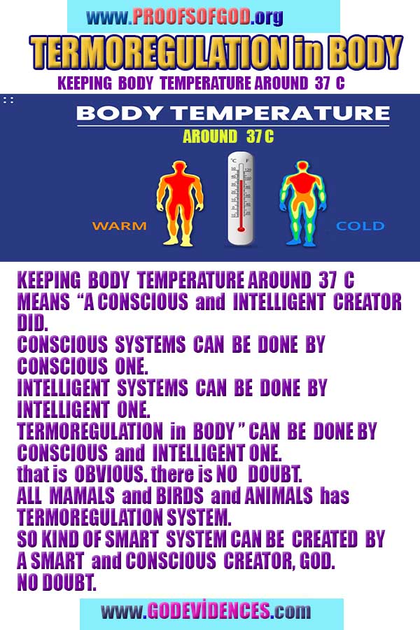 evidences of God, proofs of God, proof of God, signs of God, God is real proofs, God exists proofs, god's signs