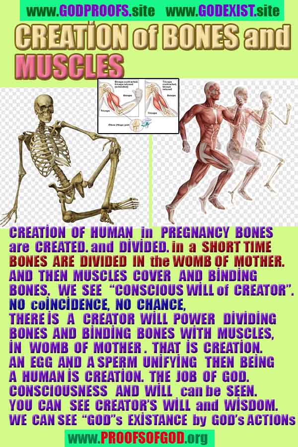 evidences of God, proofs of God, proof of God, signs of God, God is real proofs, God exists proofs, god's evidences