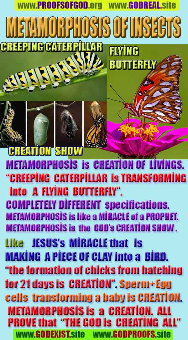 evidences of God, proofs of God, proof of God, signs of God, God is real proofs, God exists proofs, god's proofs