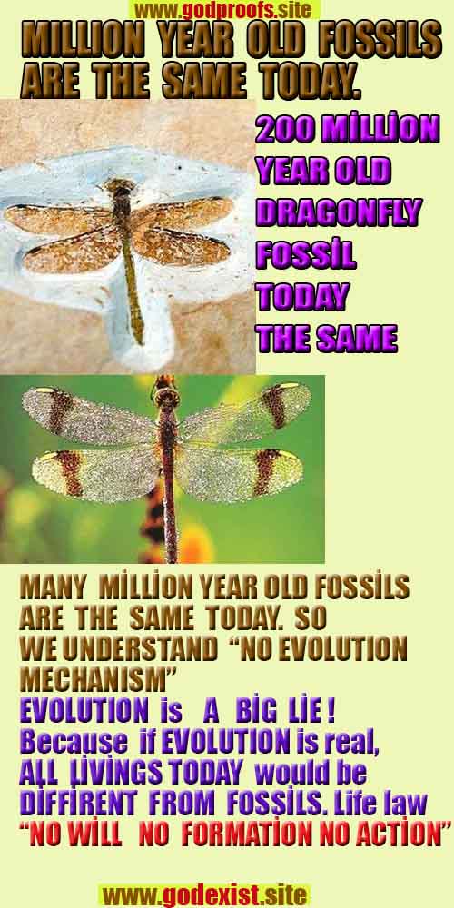 evidences of God, proofs of God, proof of God, signs of God, God is real proofs, God exists proofs, god's signs