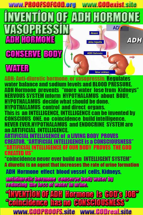 evidences of God, proofs of God, proof of God, signs of God, God is real proofs, God exists proofs, god's evidences