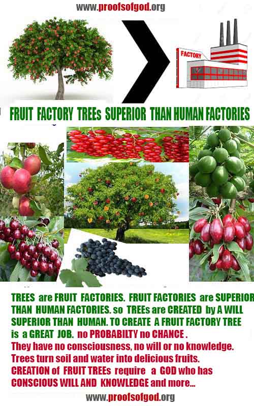 evidences of God, proofs of God, proof of God, signs of God, God is real proofs, God exists proofs, god's signs